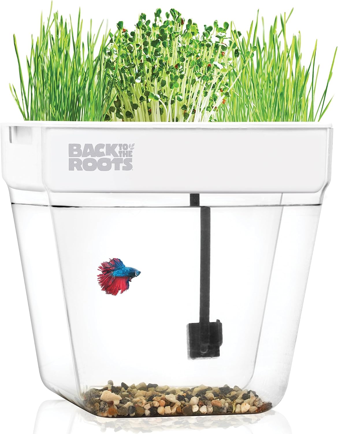 Back to the Roots Water Garden Aquaponic Fish Tank, 3 Gal
