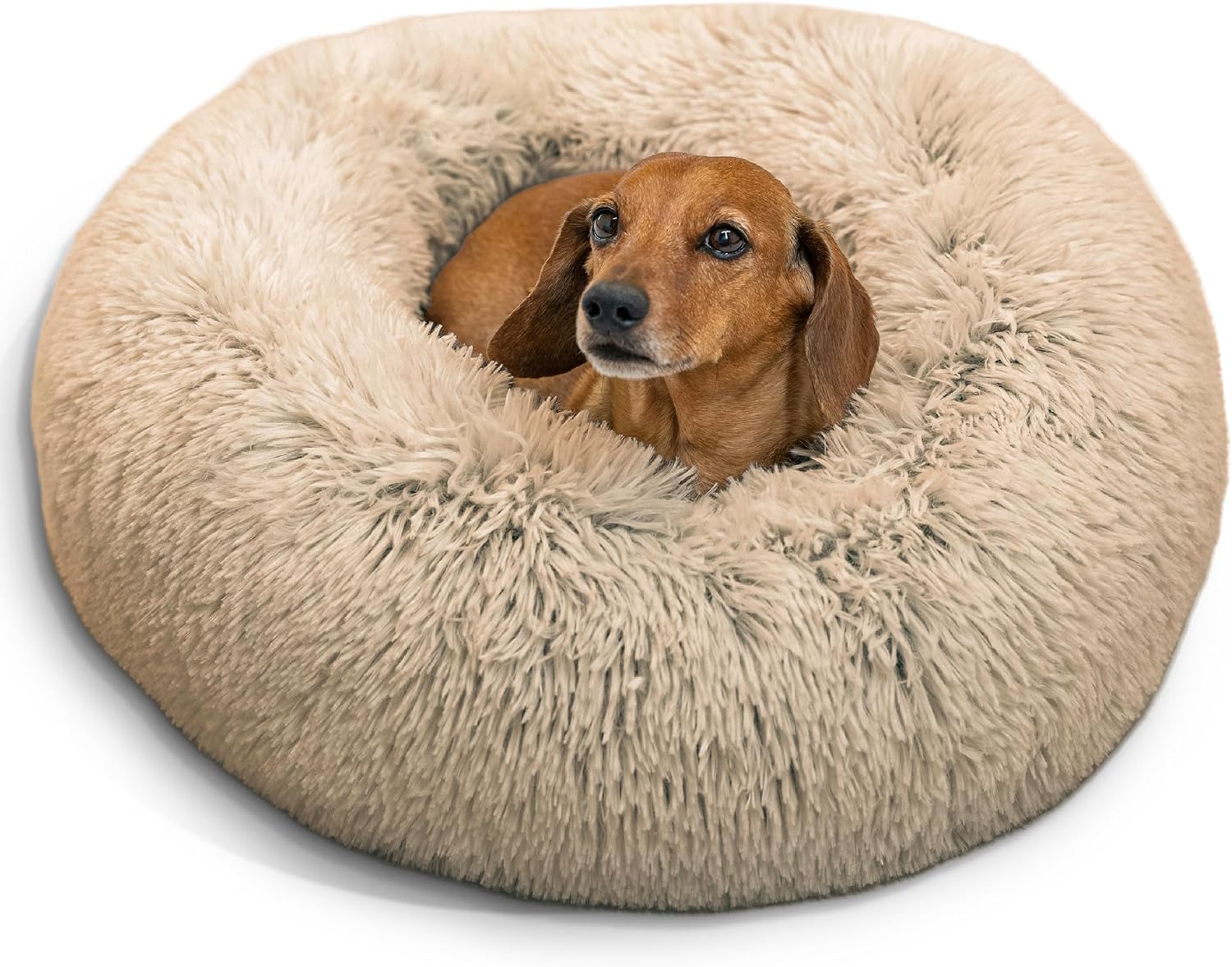 Best Friends by Sheri Original Donut Pet Bed, Small, Taupe