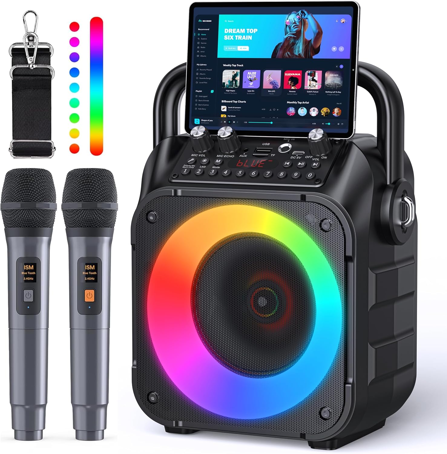 CYY Karaoke Machine with 2 Wireless Microphones