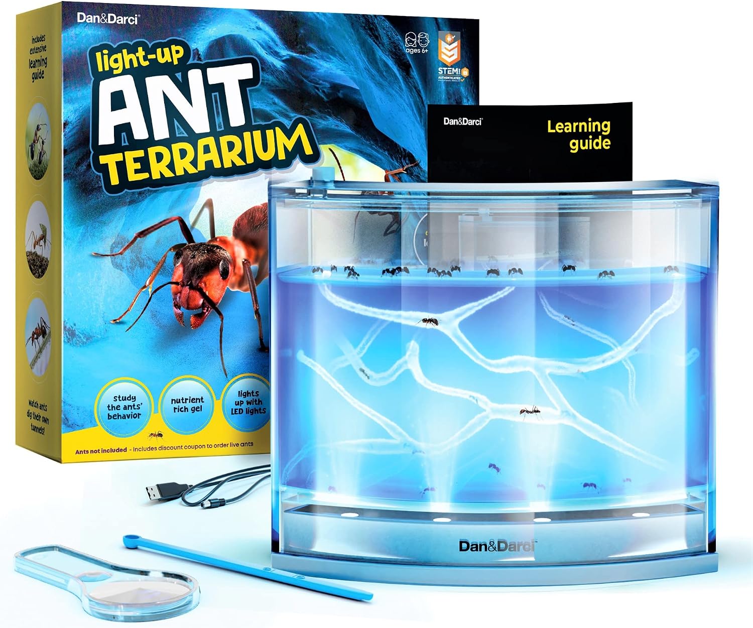 Dan&Darci Light-Up Ant Farm Gel Habitat Kit