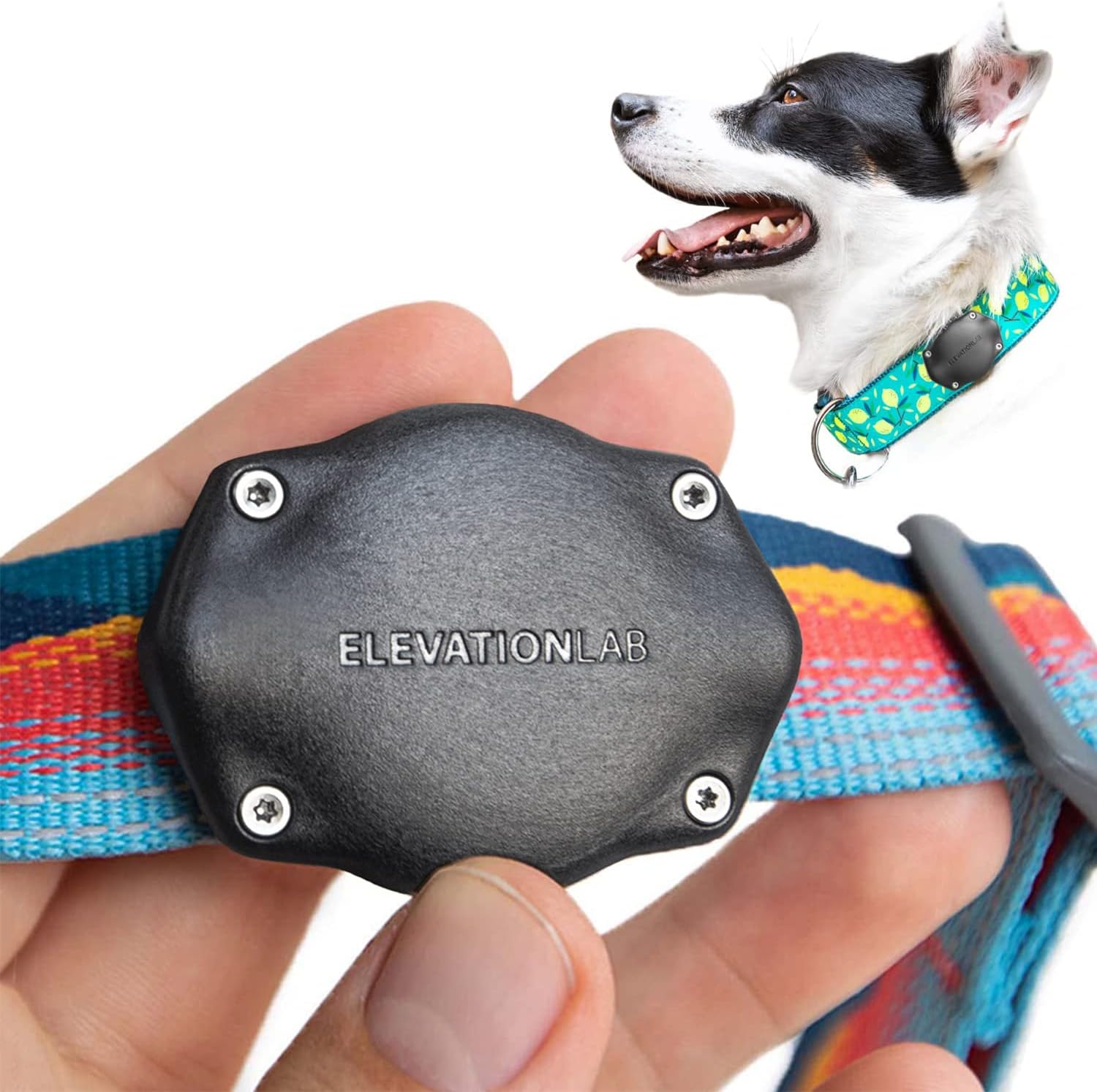Elevation Lab AirTag Dog Collar Holder, Waterproof