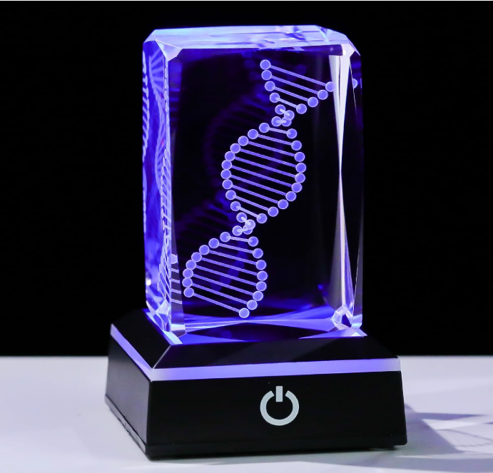 Movdyka 3D Crystal DNA Model with Color-Changing LED Base