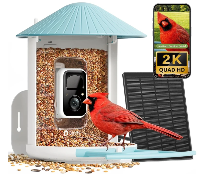 NETVUE by Birdfy Smart Bird Feeder with 2K AI Camera, Blue