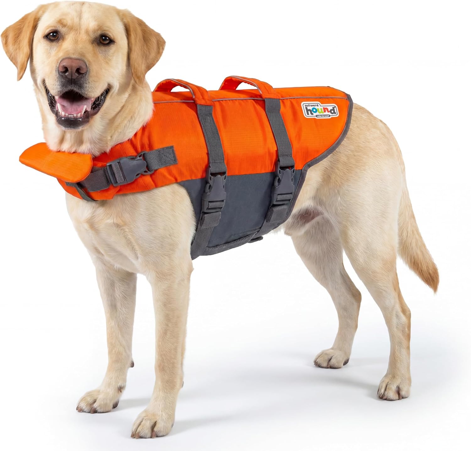 Outward Hound Granby Splash Dog Life Jacket, Orange, Large