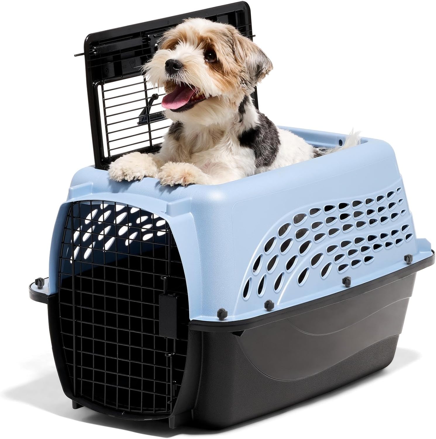 Petmate Two Door Pet Kennel, 24 Inch, Blue