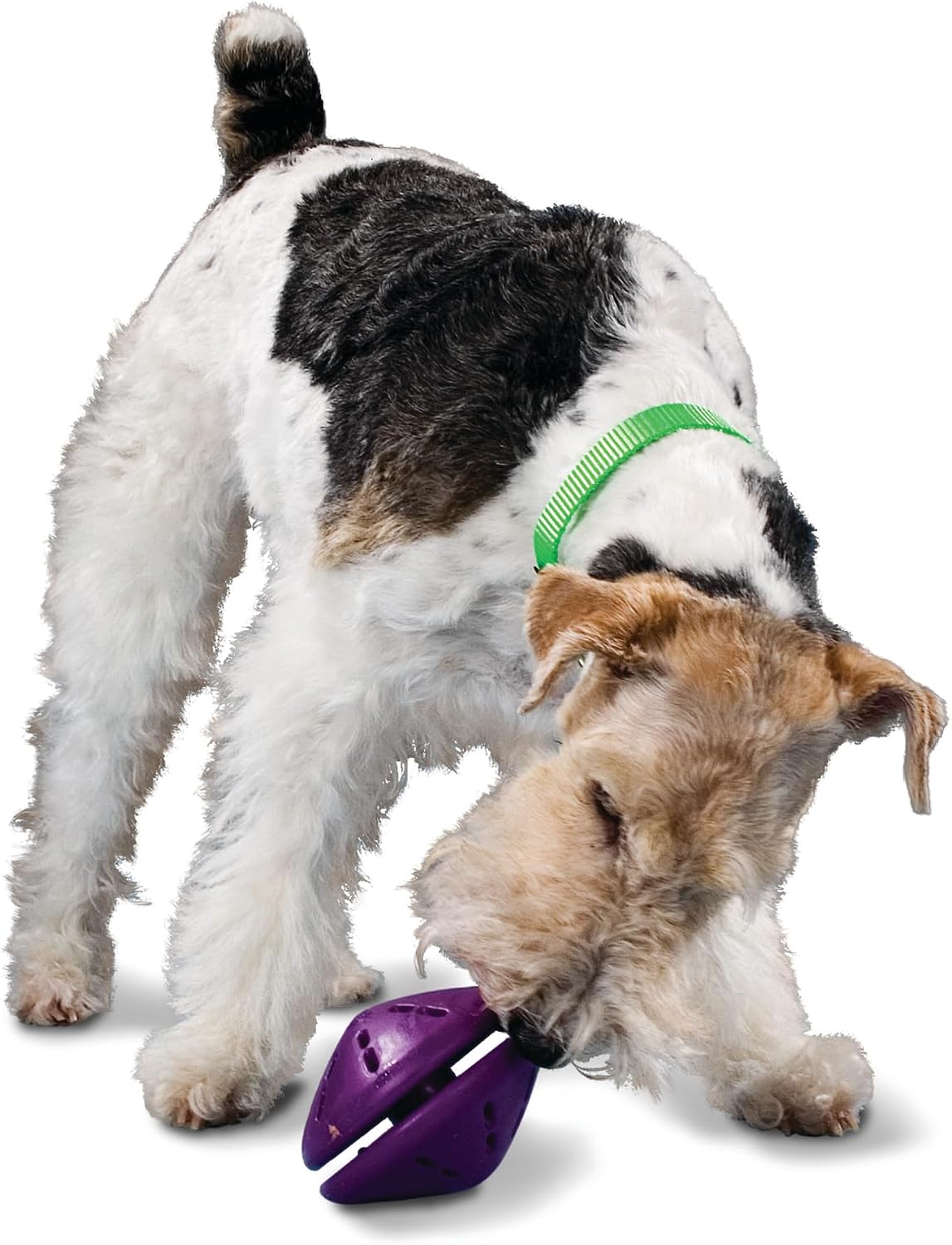 PetSafe Busy Buddy Twist 'n Treat Dog Toy, Medium