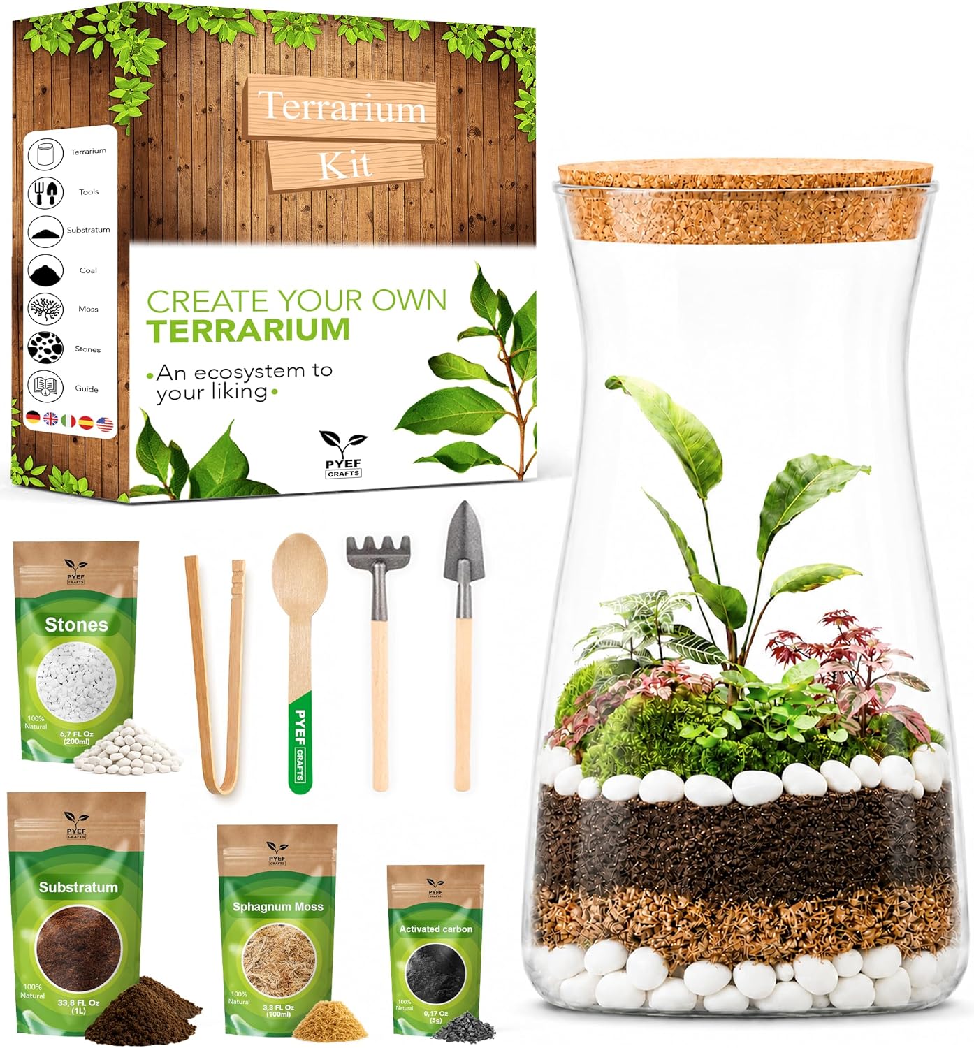 PYEF CRAFTS DIY Closed Terrarium Kit, 34 oz