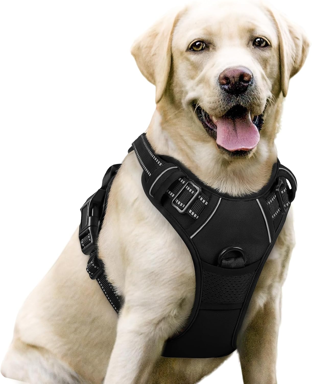 rabbitgoo No-Pull Dog Harness, Large, Black